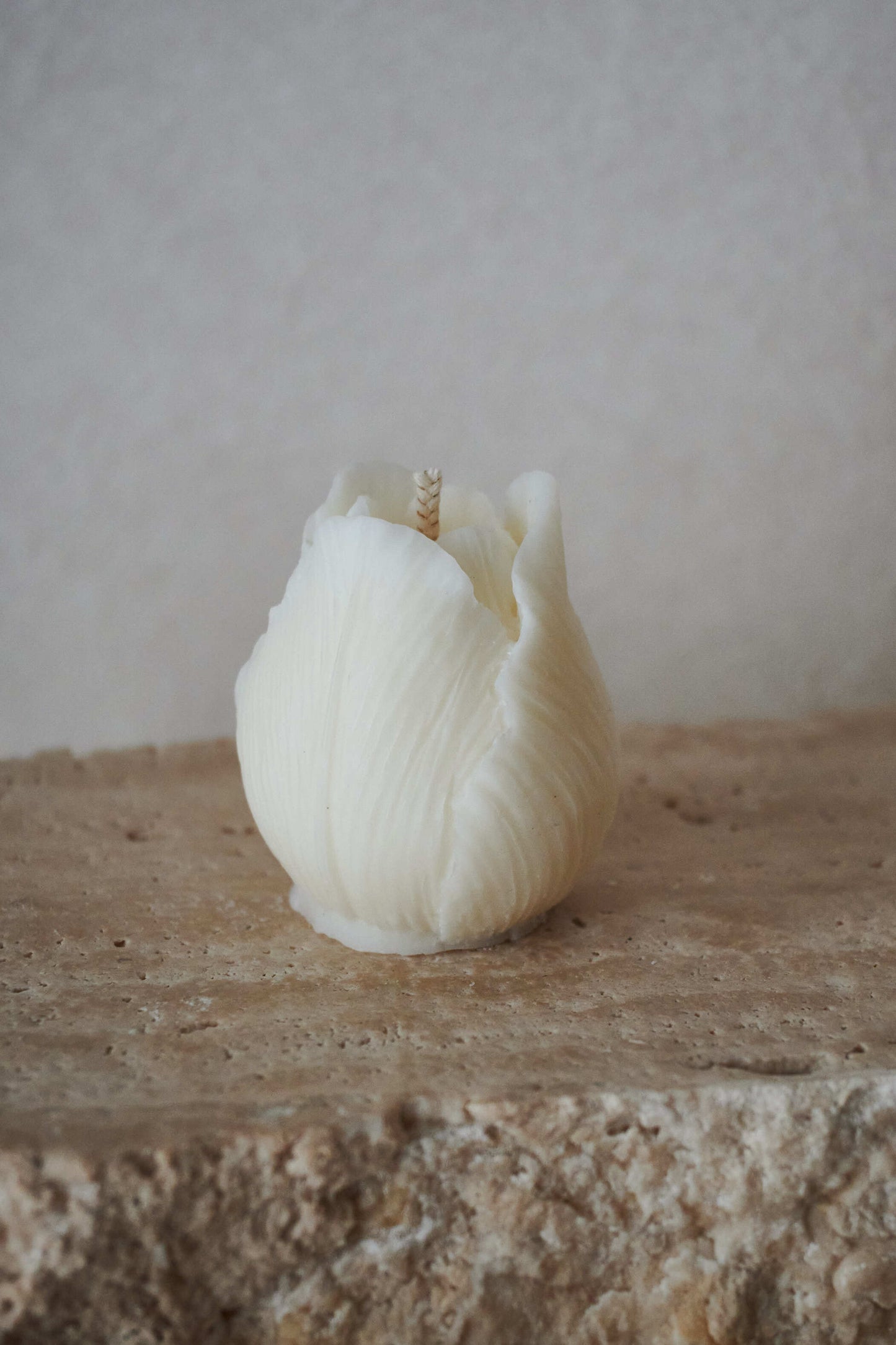 Tulipe