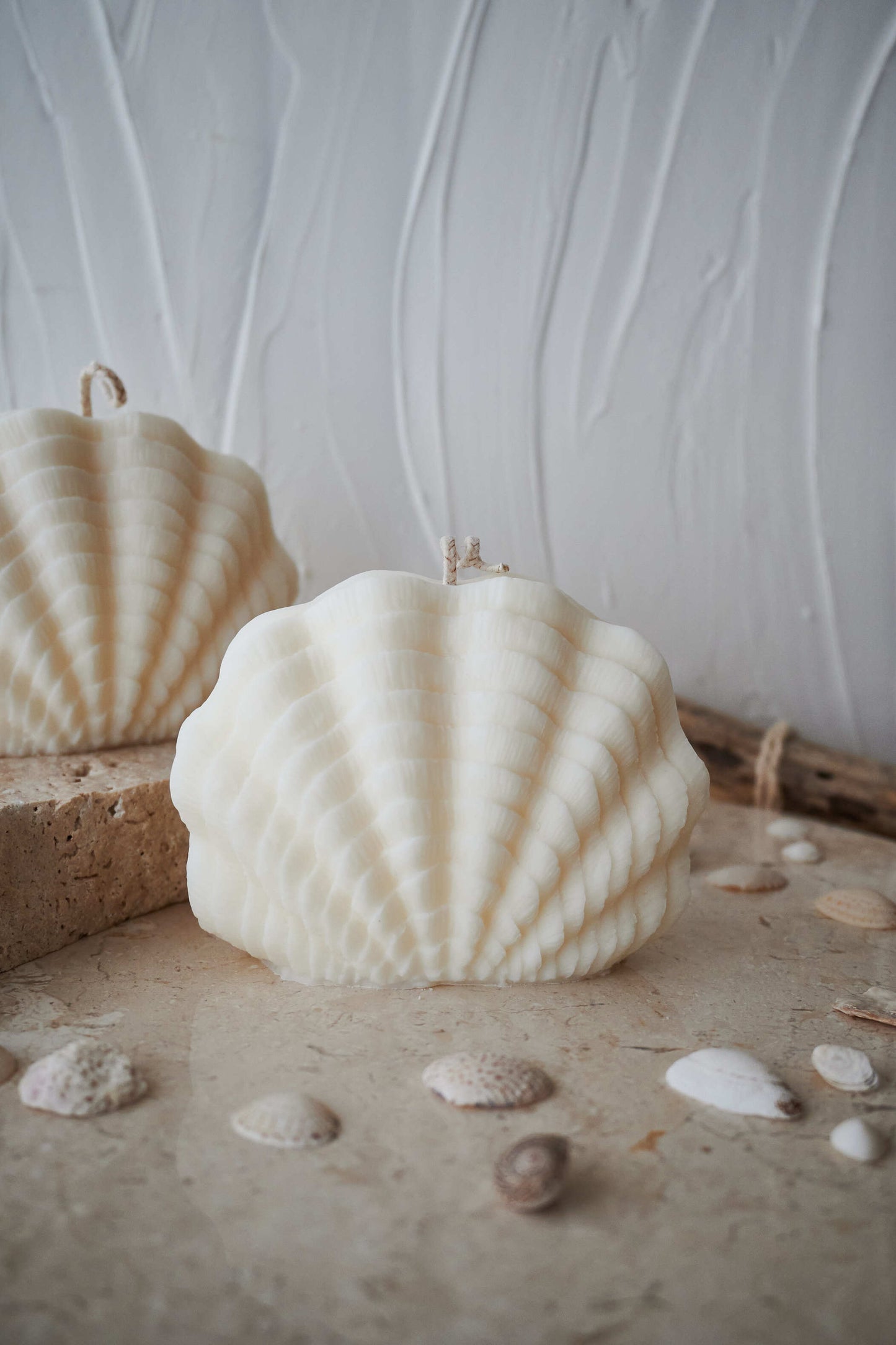 Le coquillage