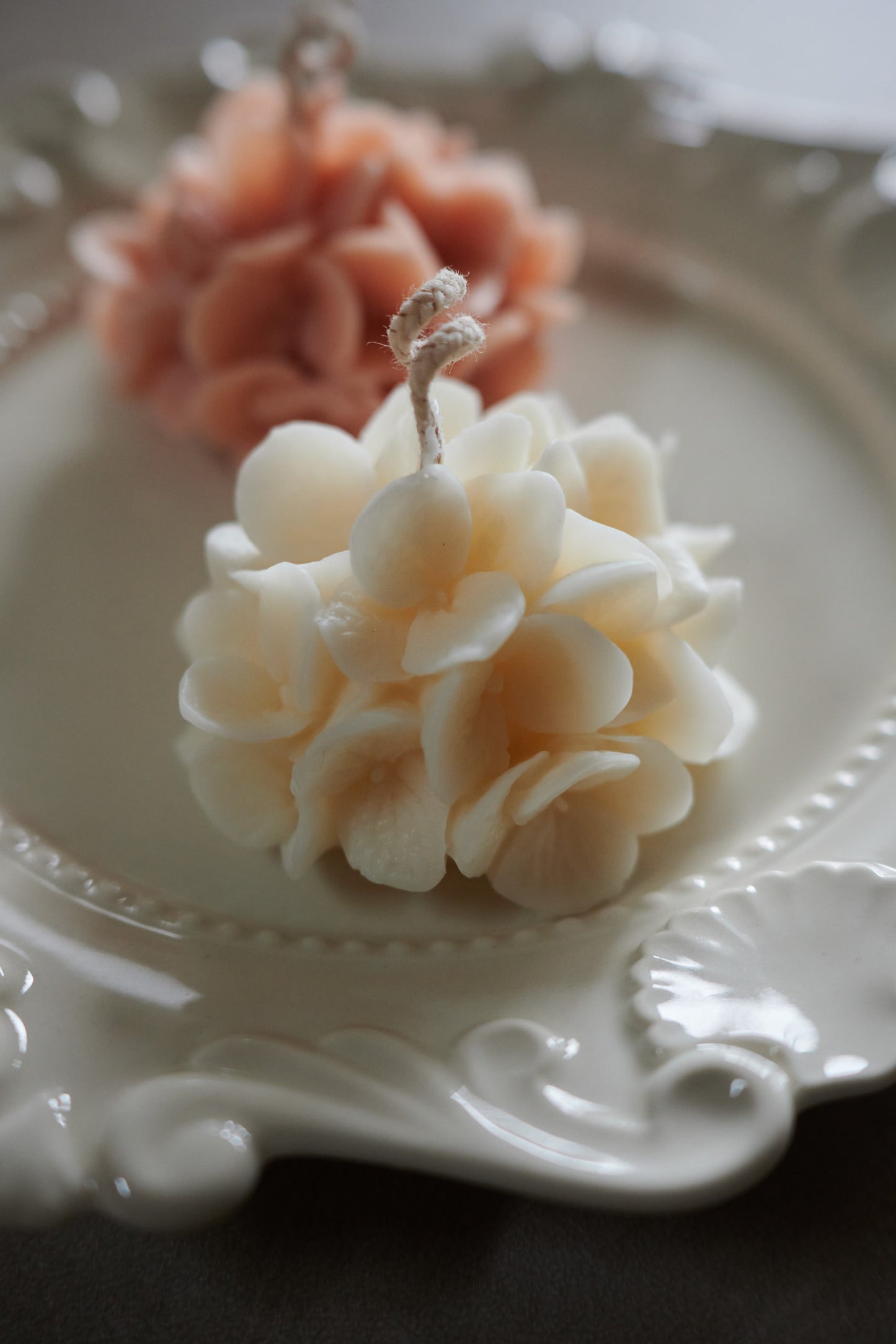 Hortensia