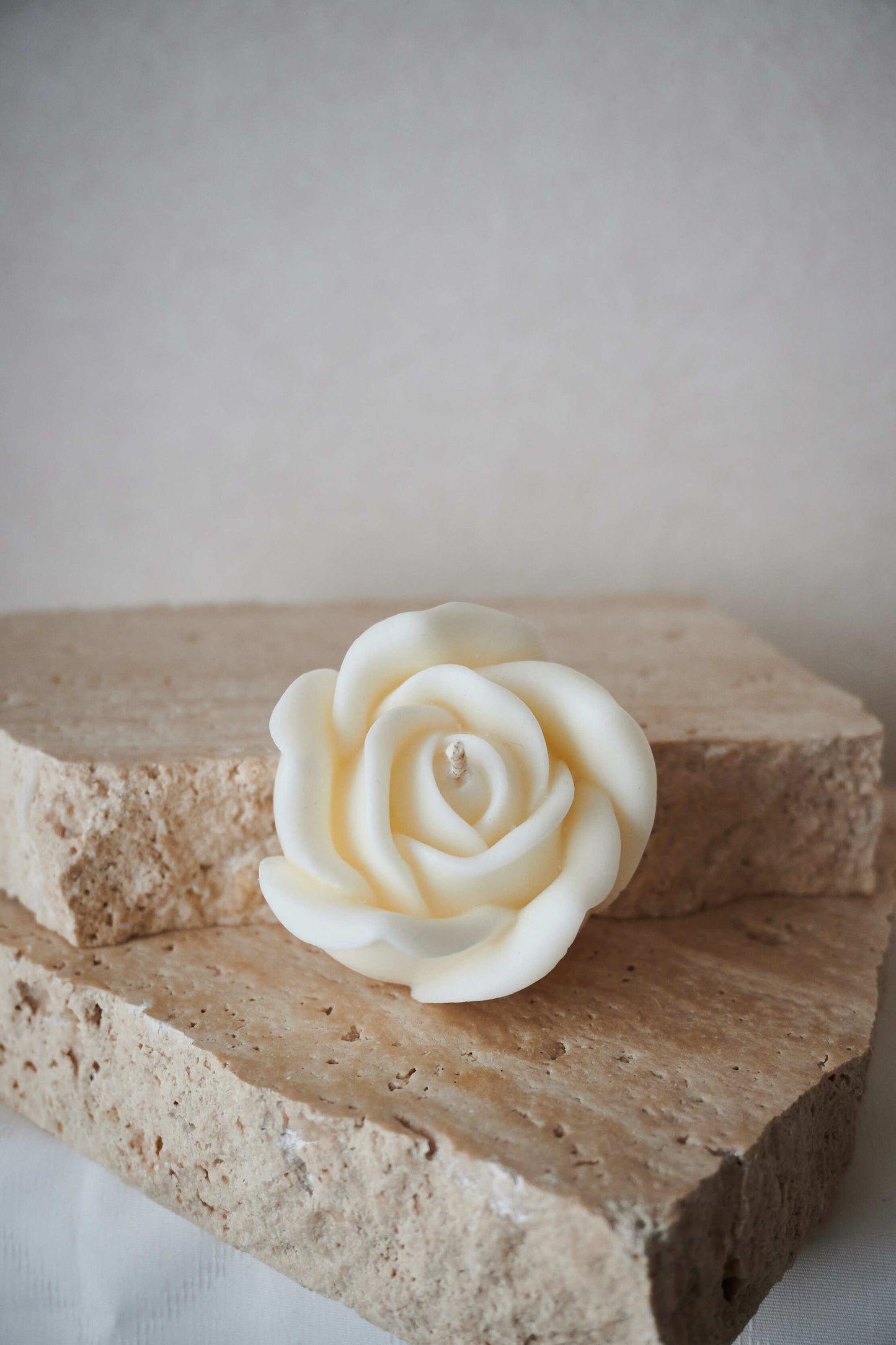 Petite rose