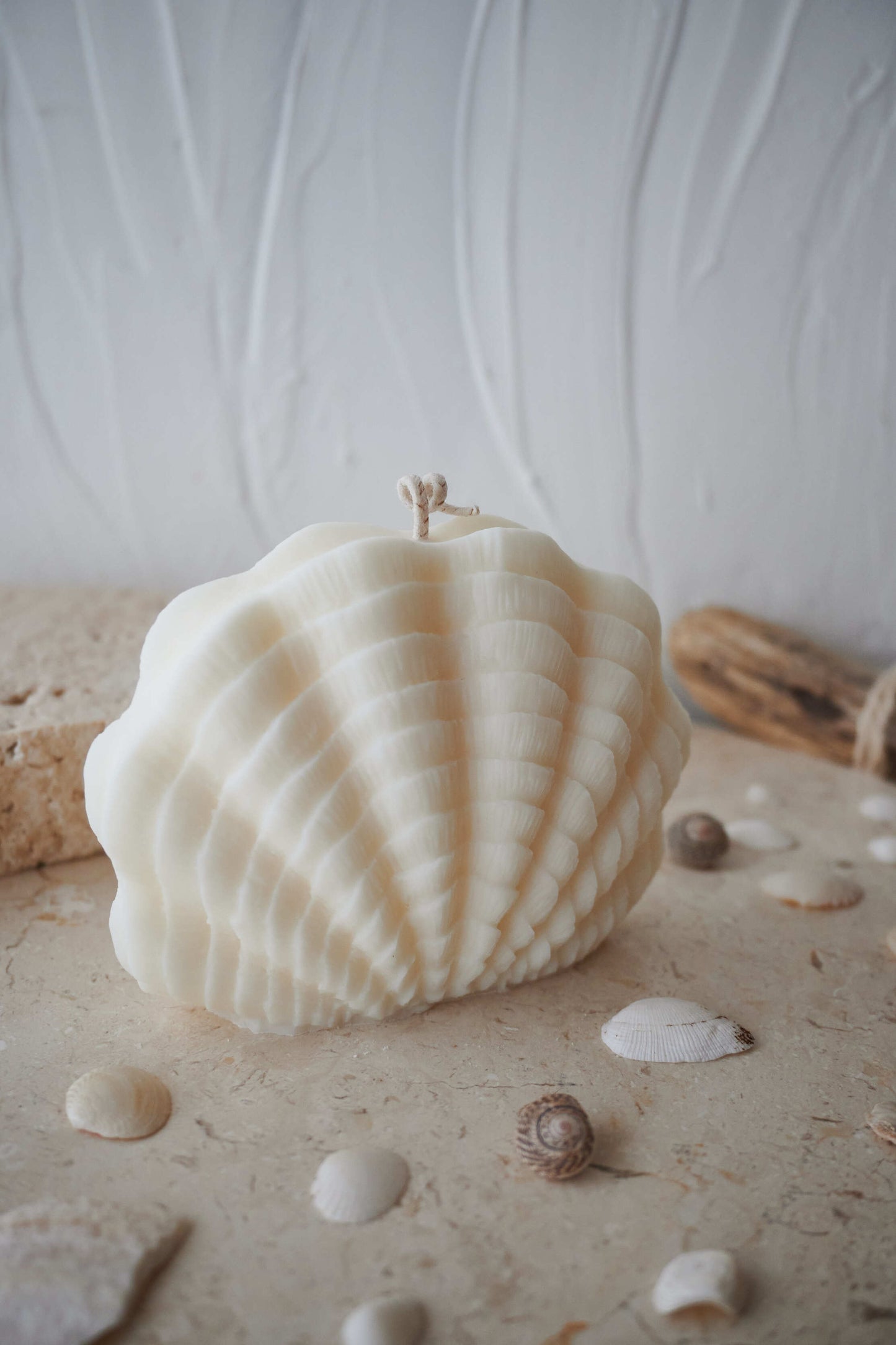 Le coquillage