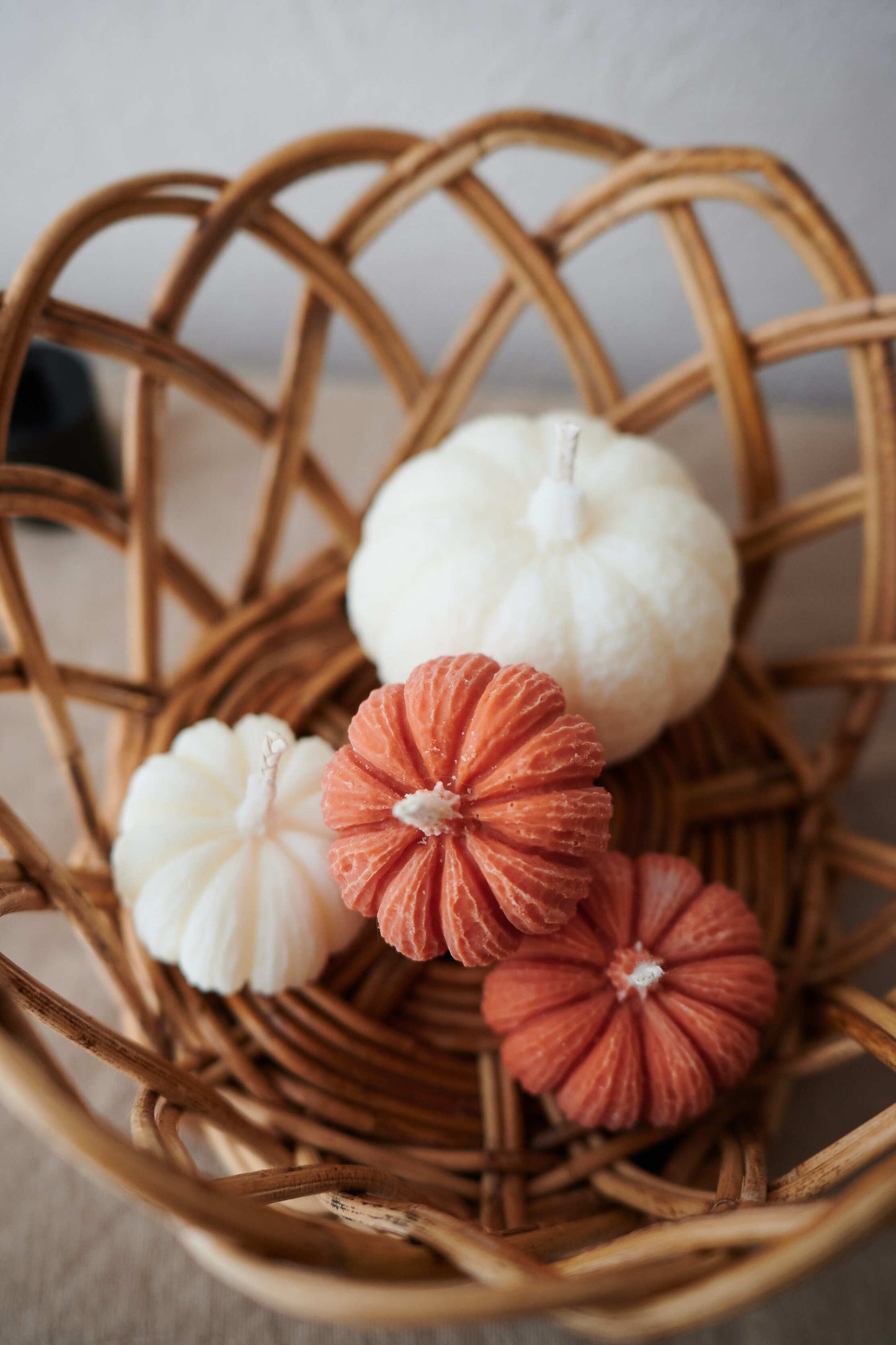 Pumpkin SET
