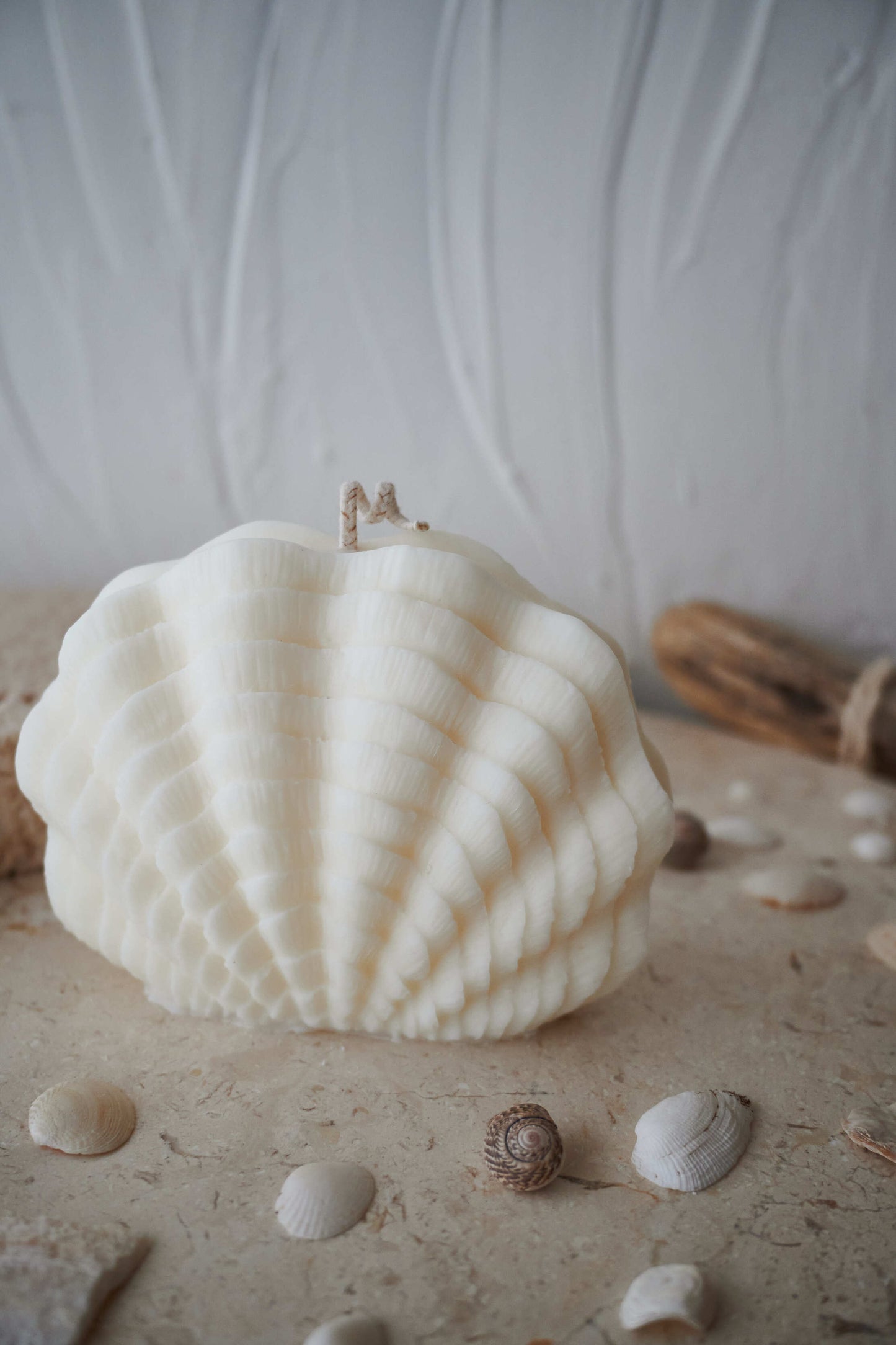 Le coquillage