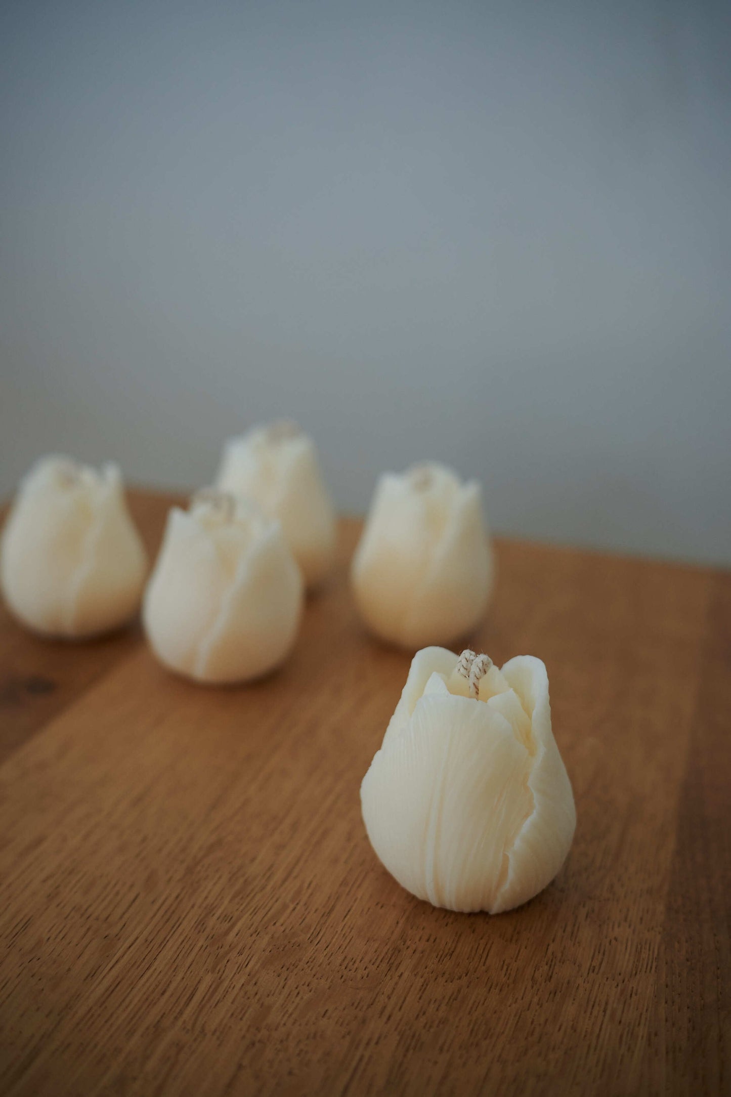 Tulipe
