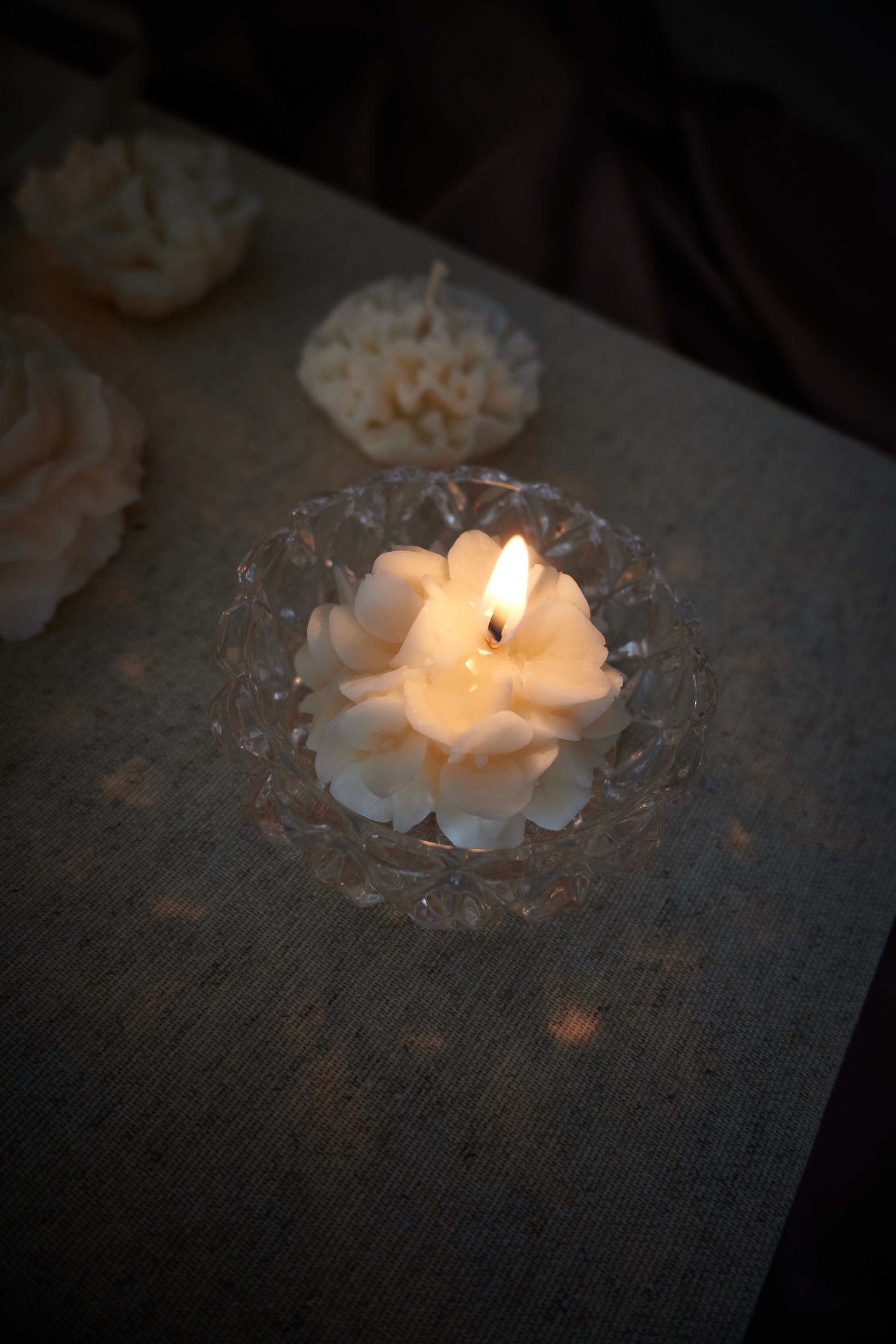 Hortensia