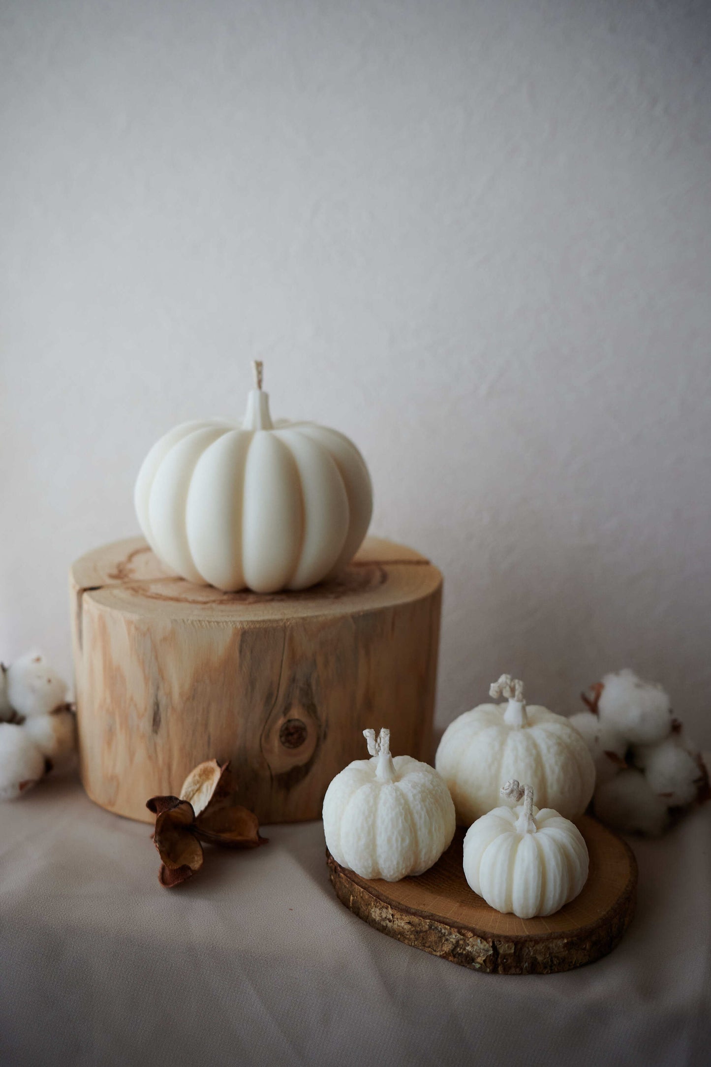 white pumpkin S