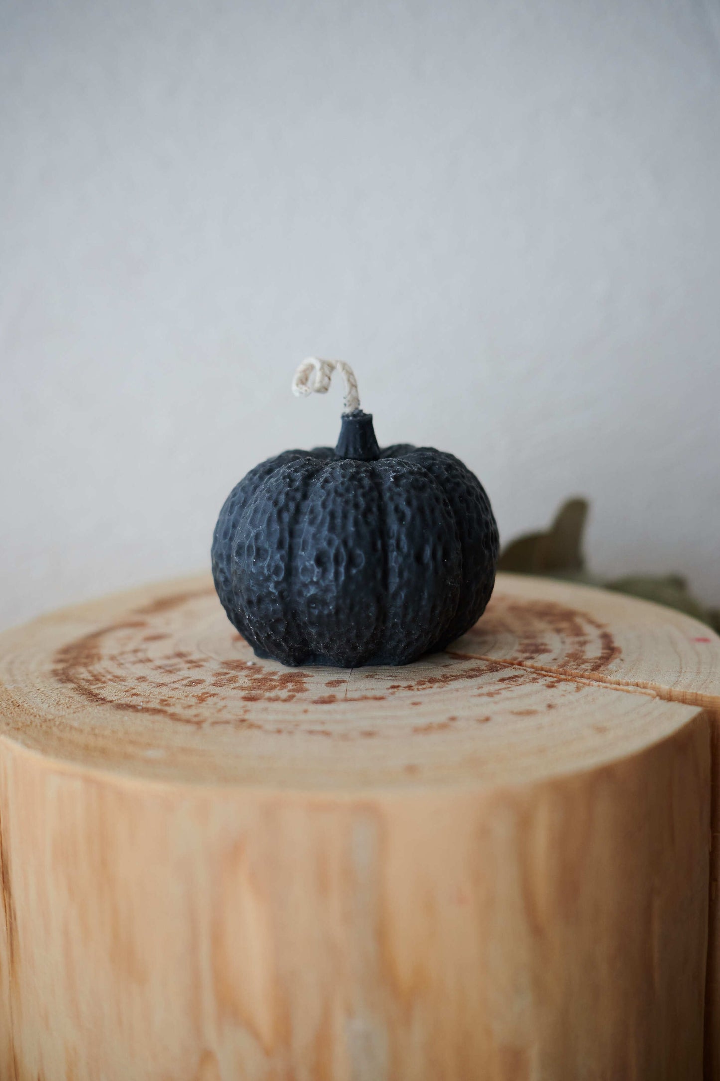 Black pumpkin L