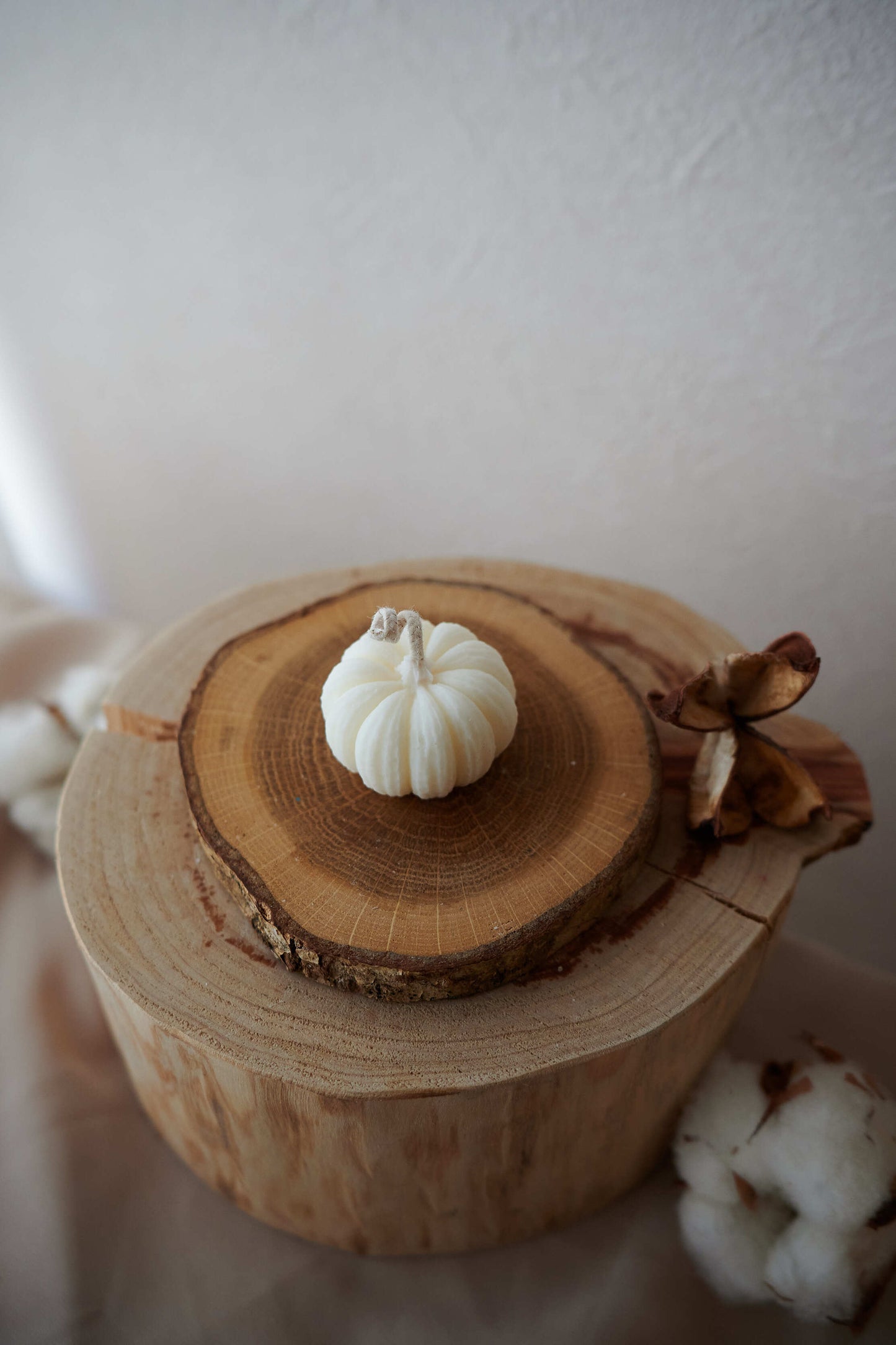 white pumpkin S