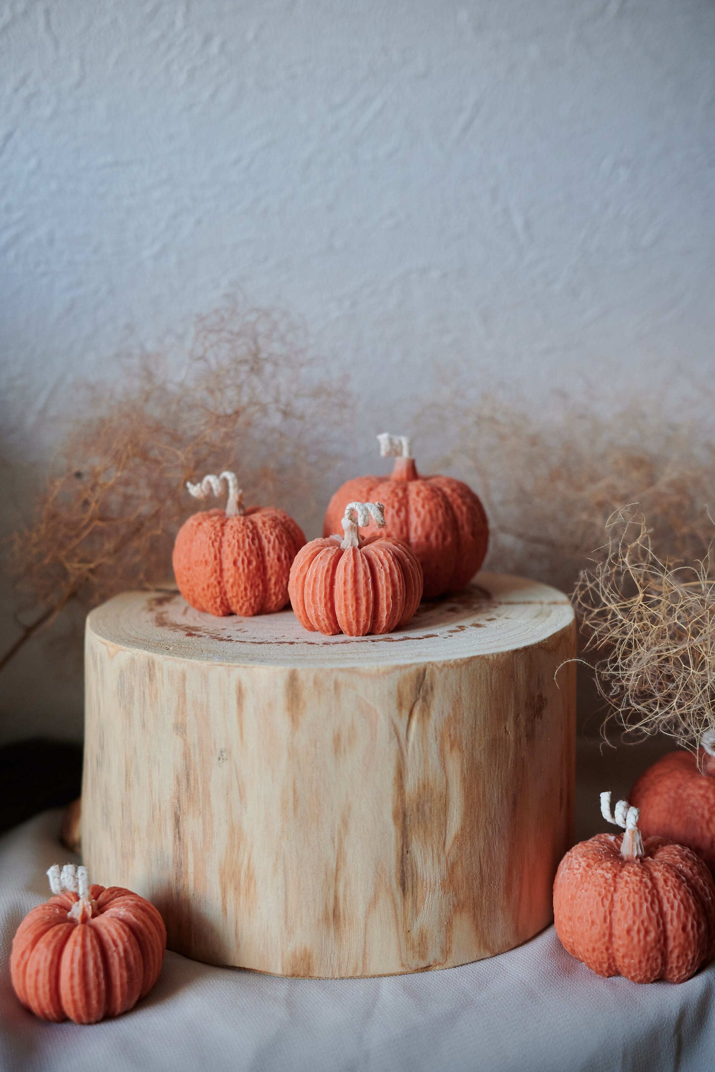 Pumpkin SET