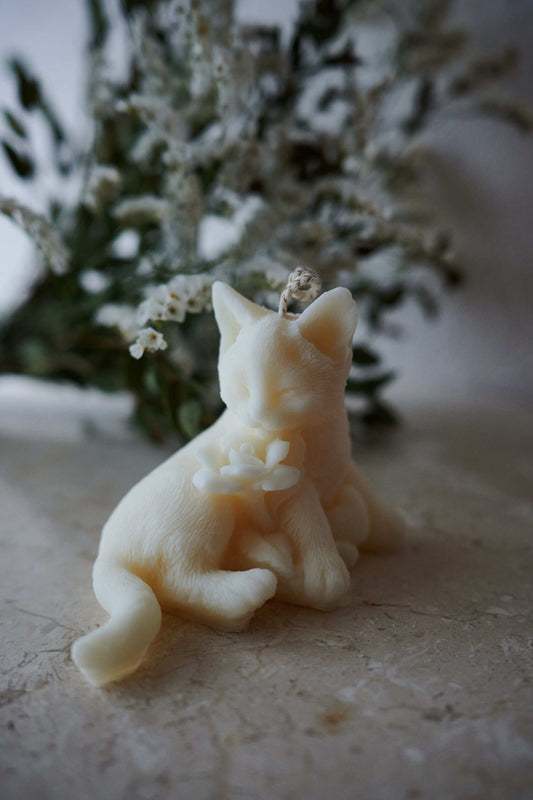 Chat blanc