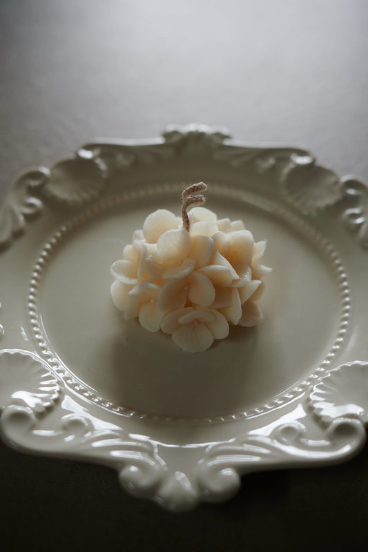 Hortensia