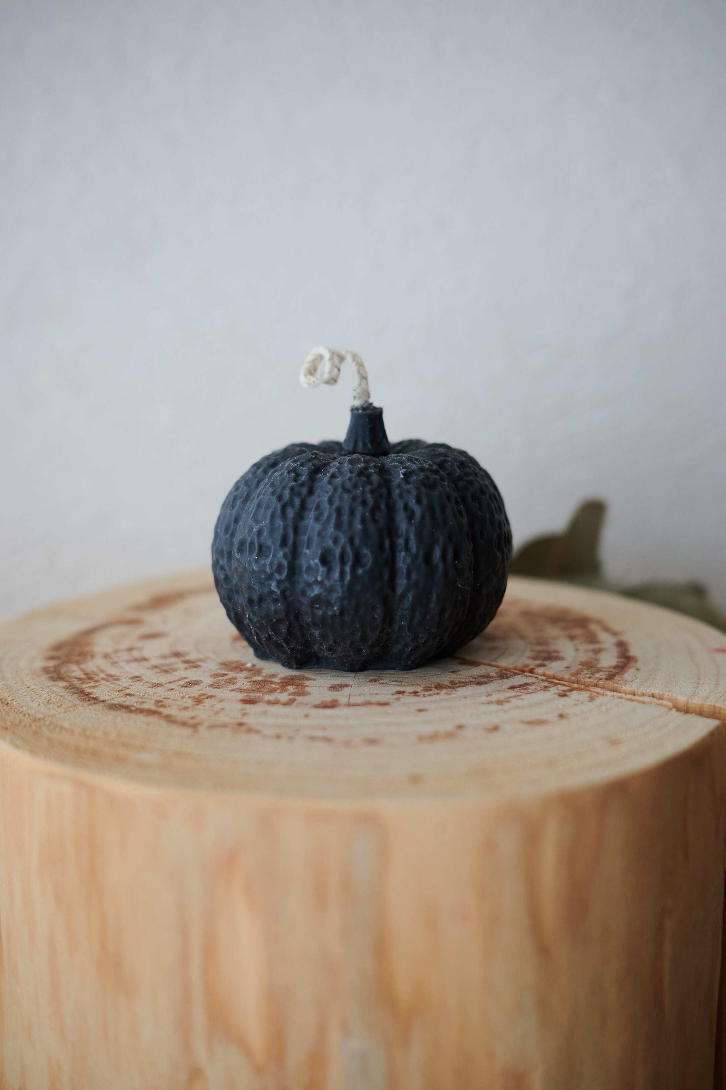 Black  pumpkin SET