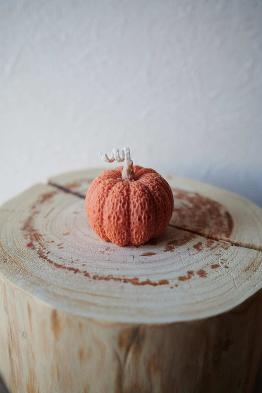 Pumpkin M