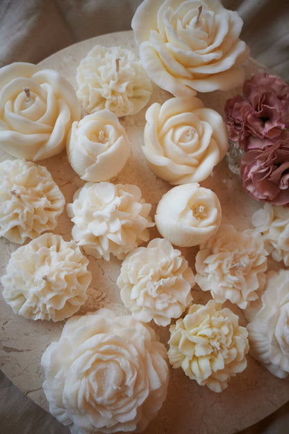 Petite rose
