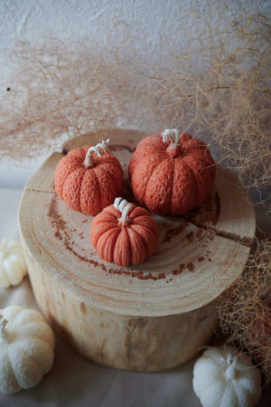 Pumpkin SET