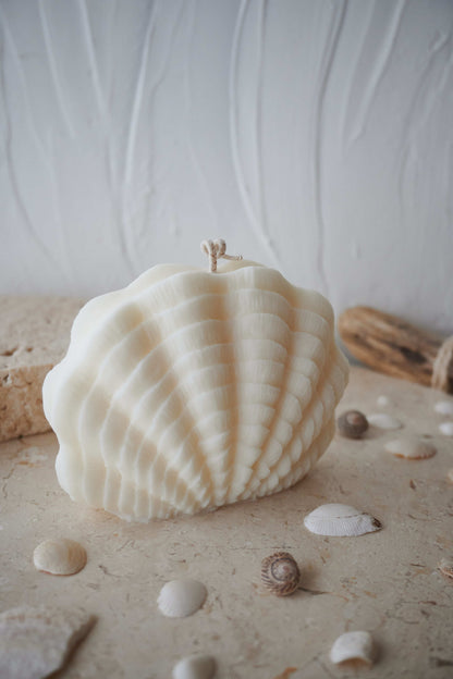 Le coquillage