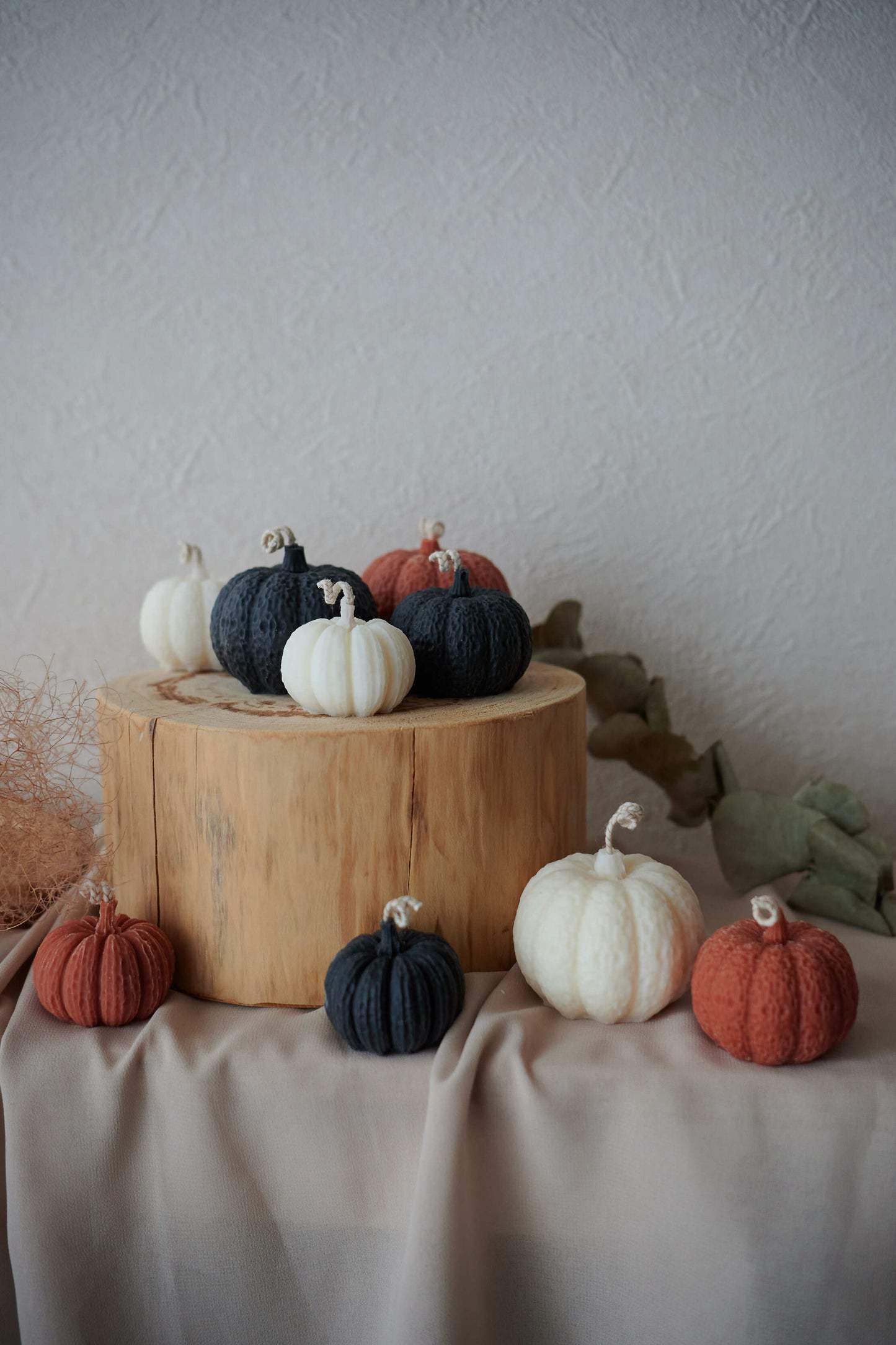 Black  pumpkin SET