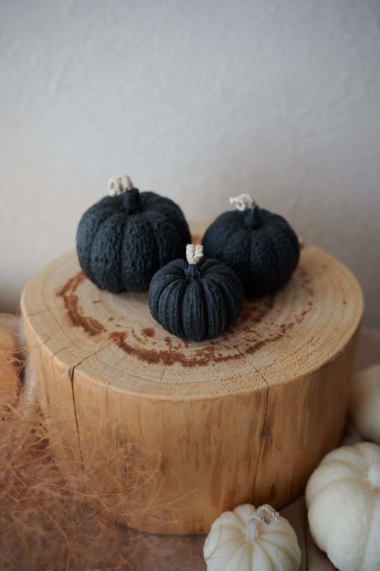 Black  pumpkin SET