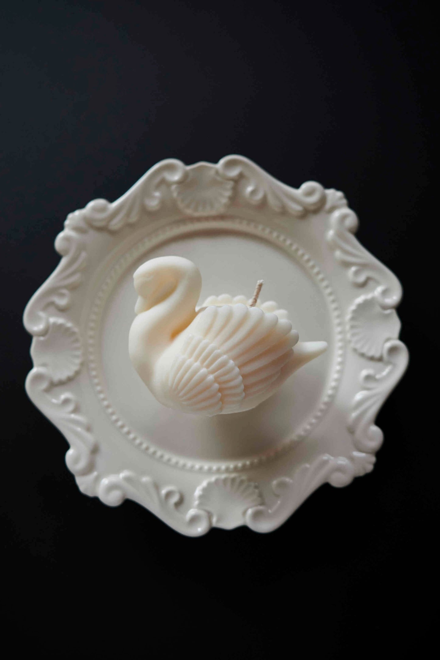Cygne