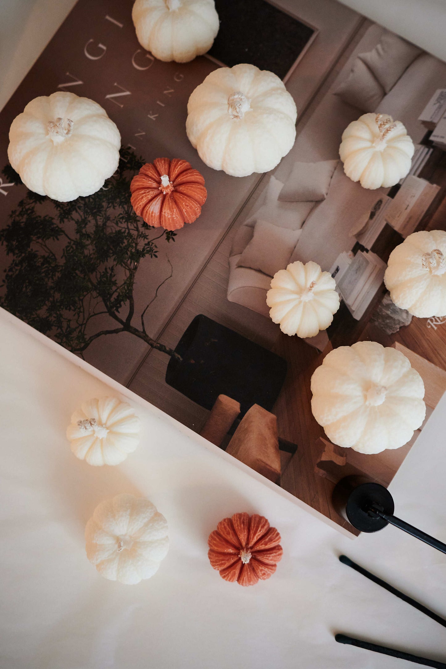 Pumpkin SET