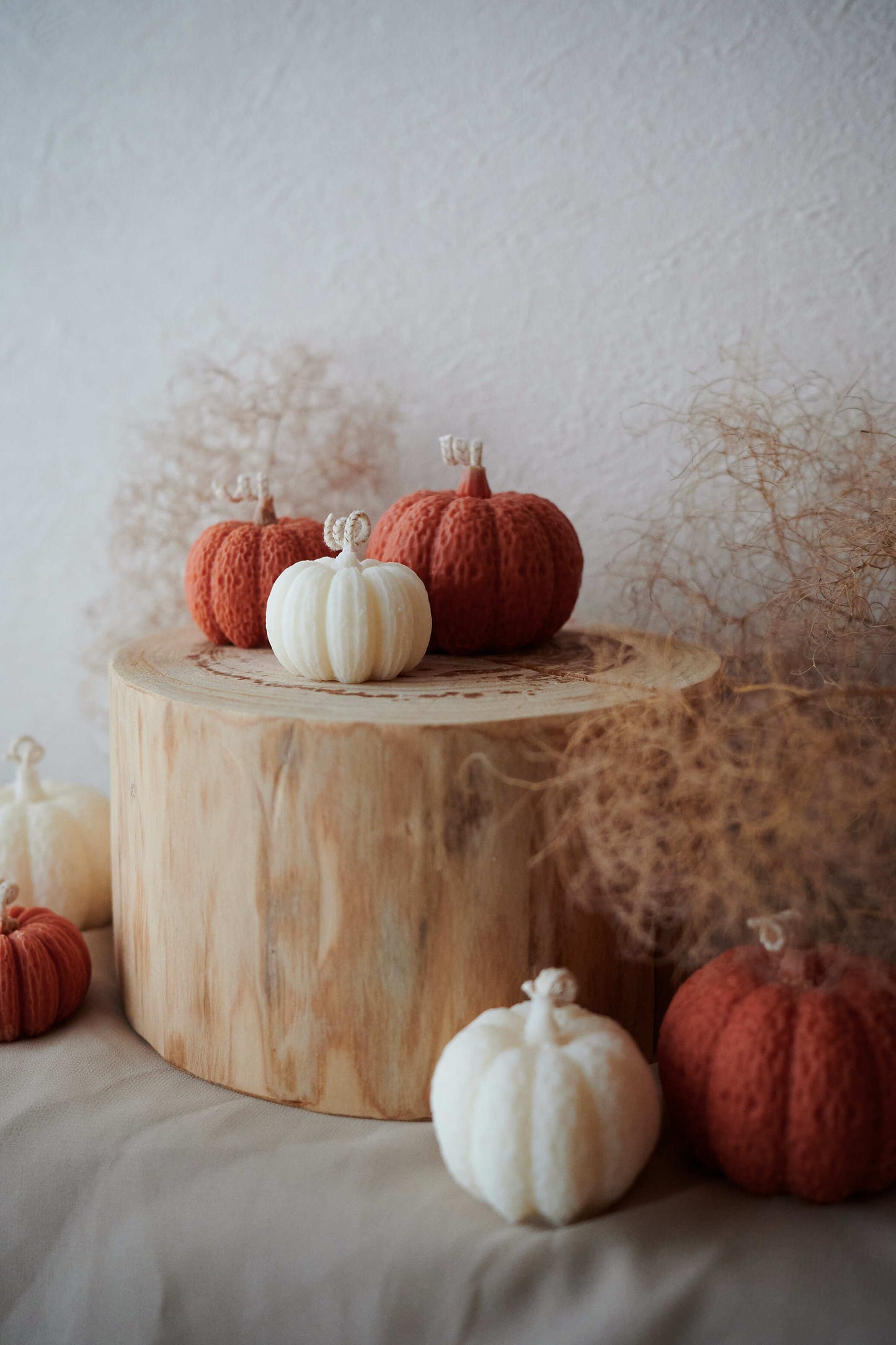 Pumpkin L