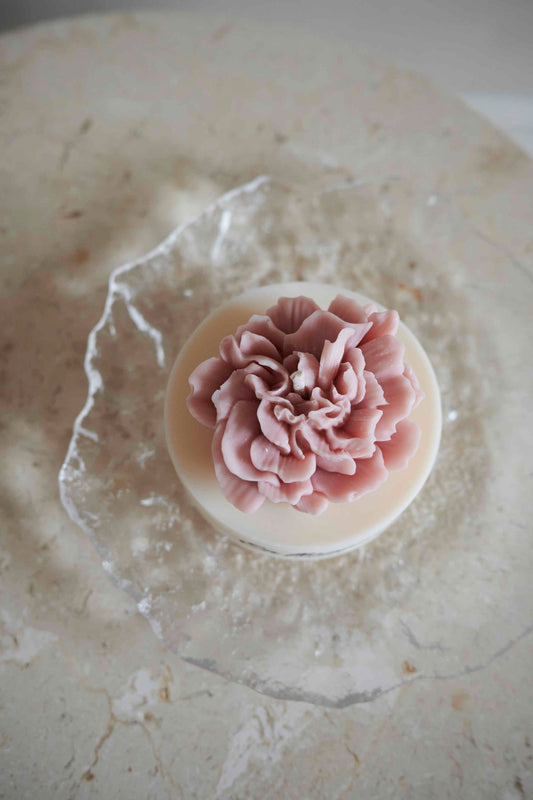 Blossom rosa