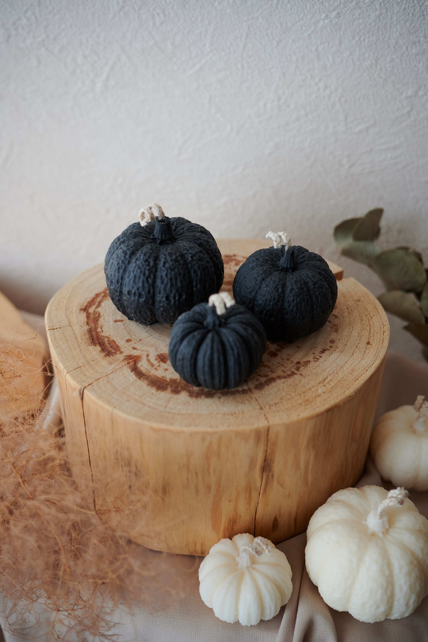 Black pumpkin M