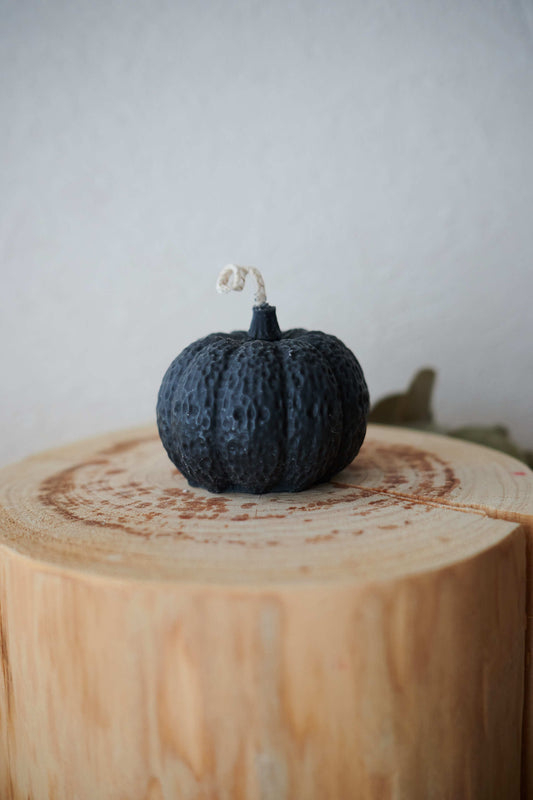 Black pumpkin L