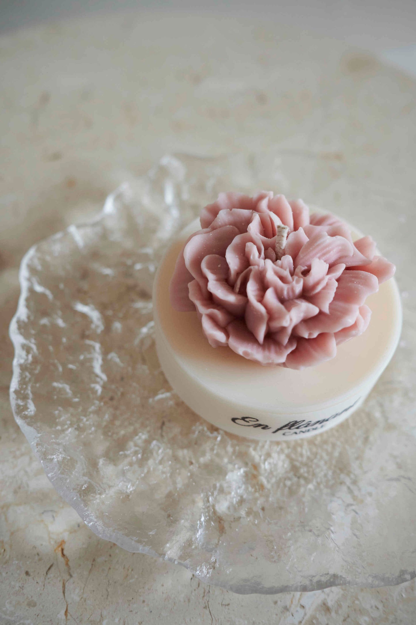 Blossom rosa